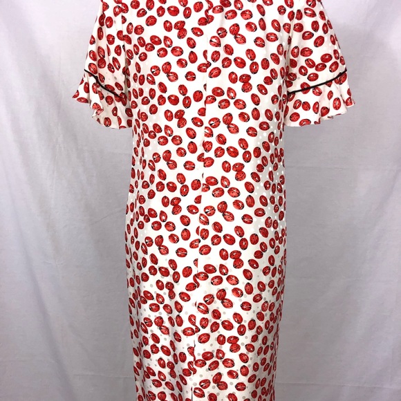 Silk Vintage Ladybug Dress - Picture 6 of 6